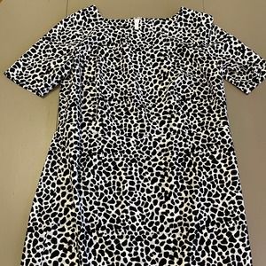 Talbots Women's Plus Size Animal Print Dress 16w